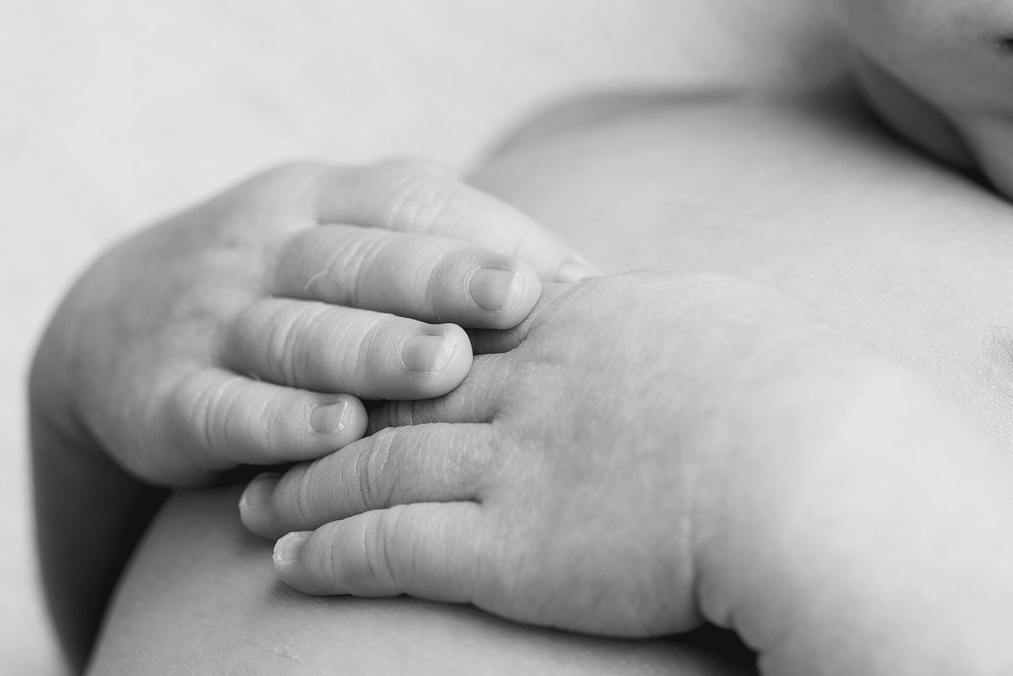 Detail Shot of Baby Hands