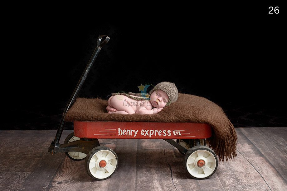 Photo of Nolan in Henry Express Wagon